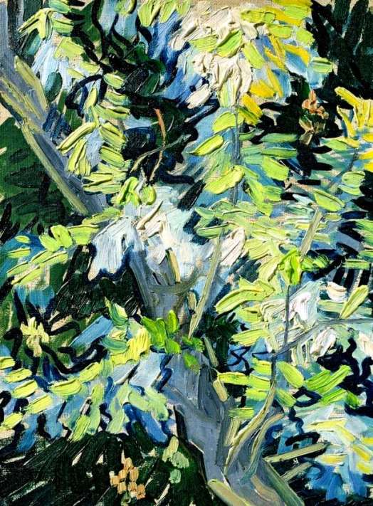 Vincent van Gogh (1853-1890) Branches d’acacia en fleurs, Auvers-sur-Oise, juin 1890, huile sur toile Stockholm, Nationalmuseum 